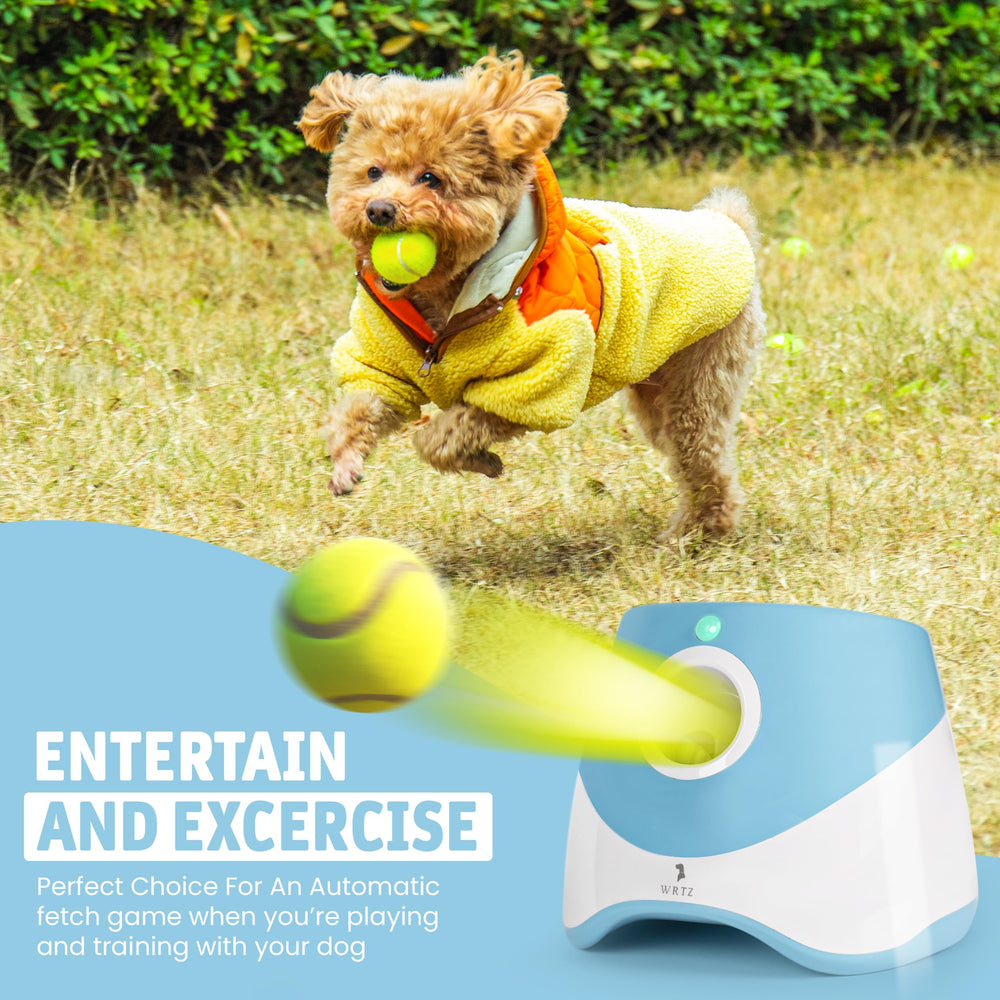 WRTZ mini tennis balls pack keeps multi-dog households well-supplied.