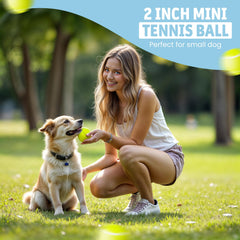 WRTZ soft non-abrasive felt balls reduce chewing wear during playful sessions.