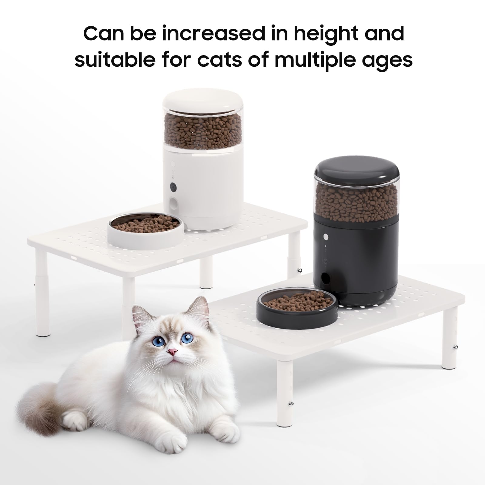 WSOWX adjustable feeder stand height settings support growing cats and small dogs