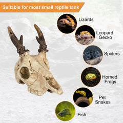 WTSOH hand-painted surface offers lifelike texture for leopard gecko enclosures.