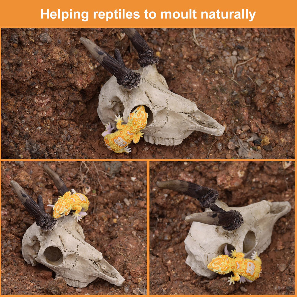 WTSOH resin materials provide an odor-free, safe decor option for various water conditions.