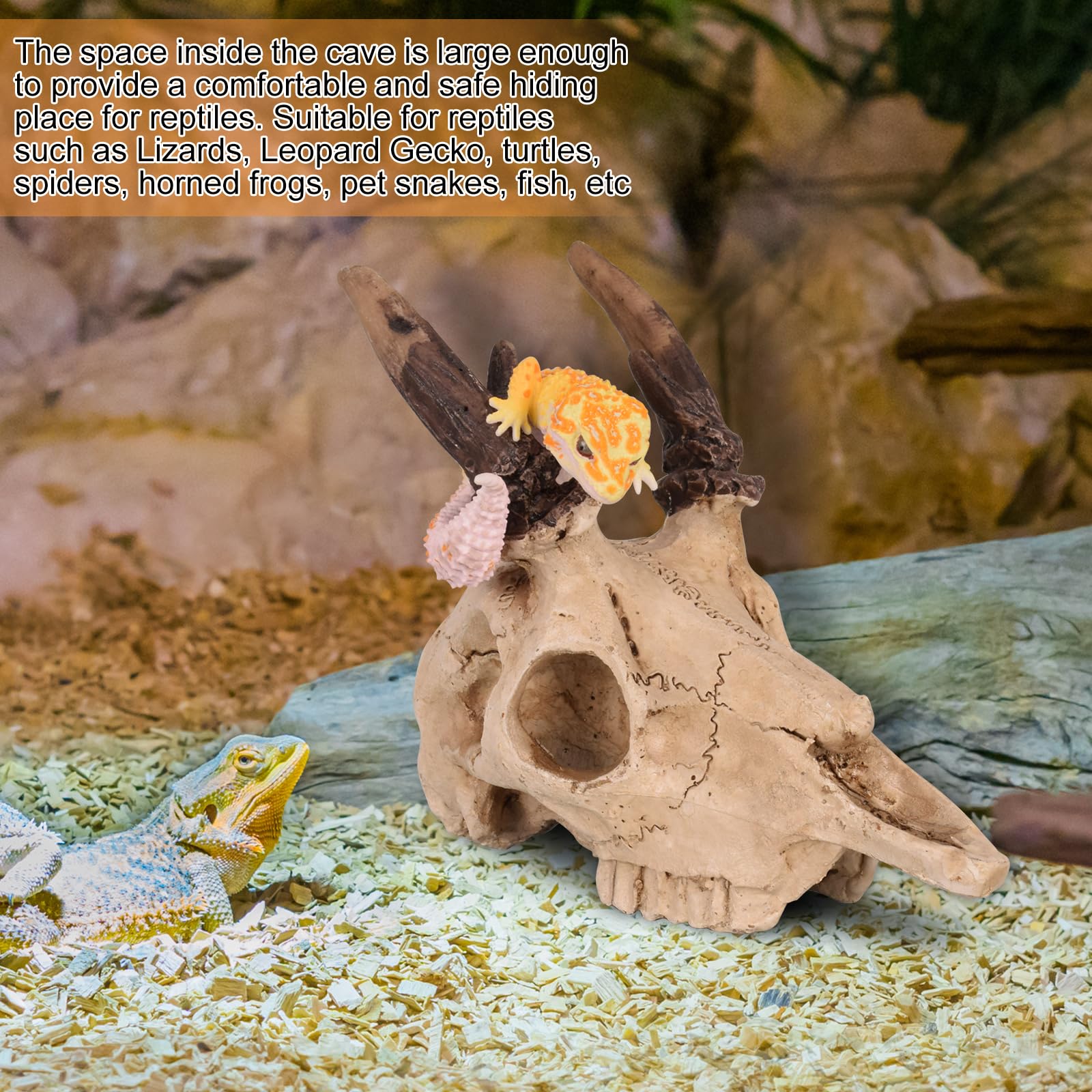 WTSOH safe for dry, saline, or freshwater tanks across species.