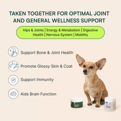 Wuffes-23in-1-multivitamin-chews: Comprehensive daily nutrition for skin, gut, eyes, and coat.
