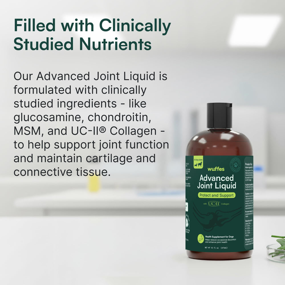 Wuffes Advanced Joint Liquid near dog bowl highlighting convenient use.