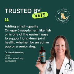 Wuffes Advanced Omega-3 dog coat shine captures a glossy, healthy-looking fur.