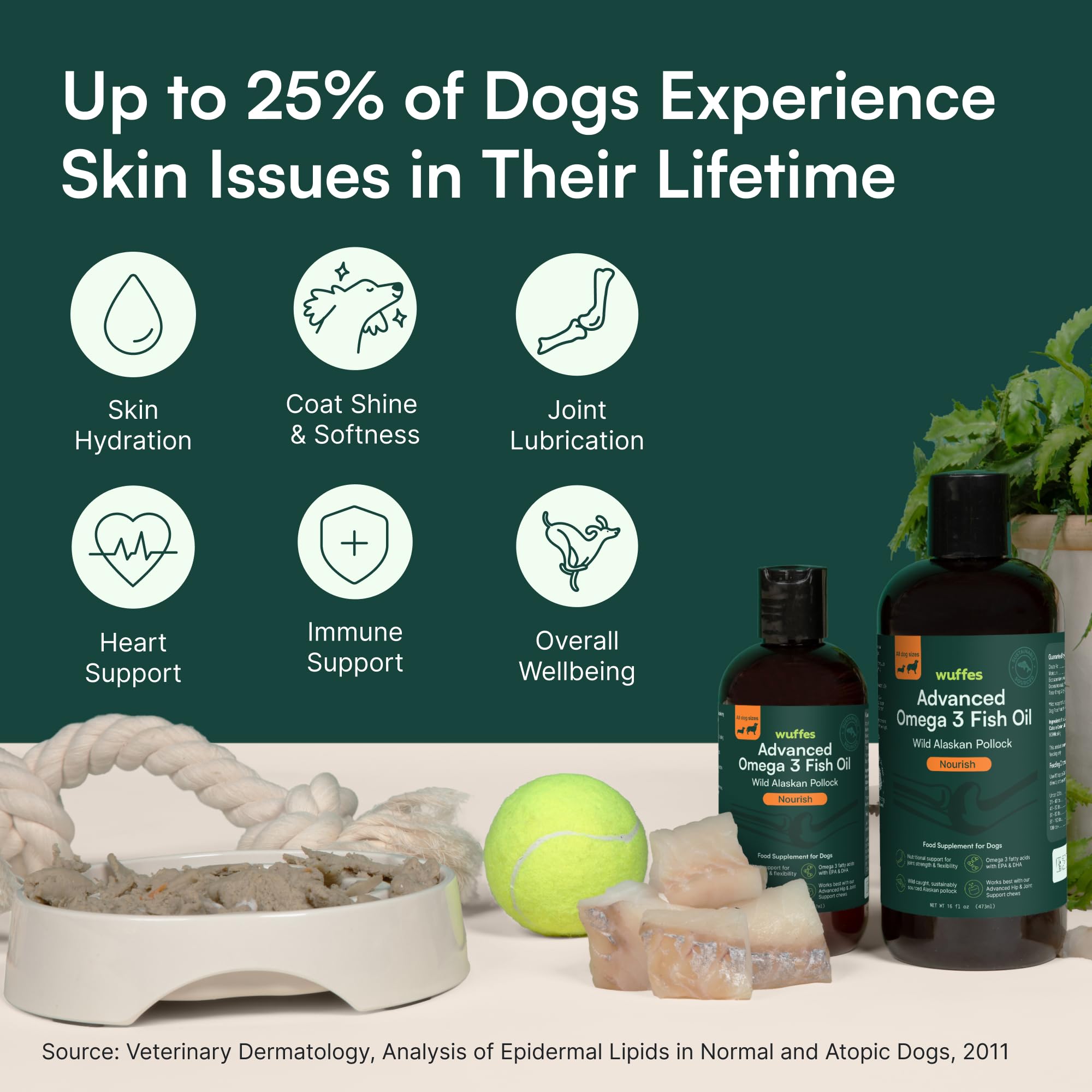 Wuffes Advanced Omega-3 dog digestion focus demonstrates gut-friendly benefits.