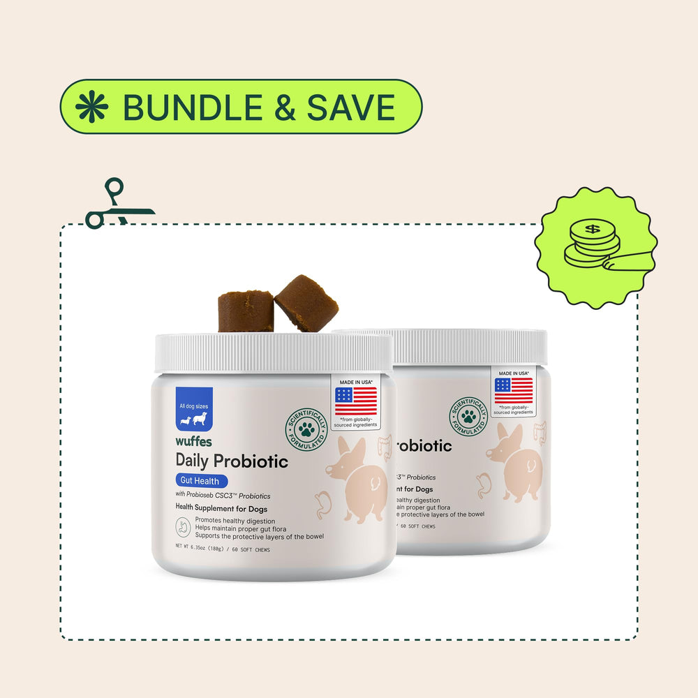 Wuffes Daily Probiotic gut-health-benefits image underscores balanced microbiome support.