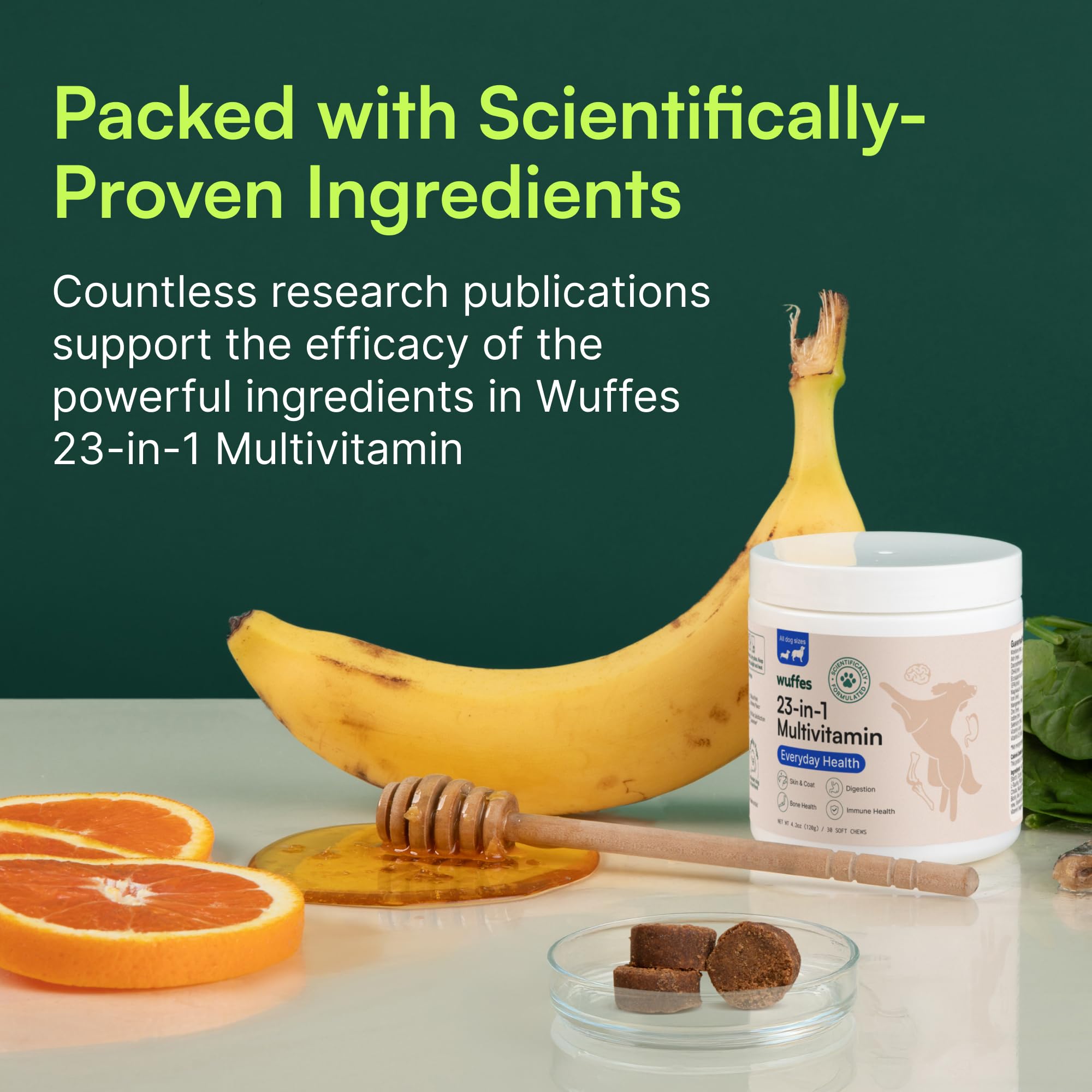 Wuffes dog chewing soft chew demonstrates dog-friendly flavor and intake ease.