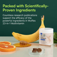 Wuffes dog chewing soft chew demonstrates dog-friendly flavor and intake ease.