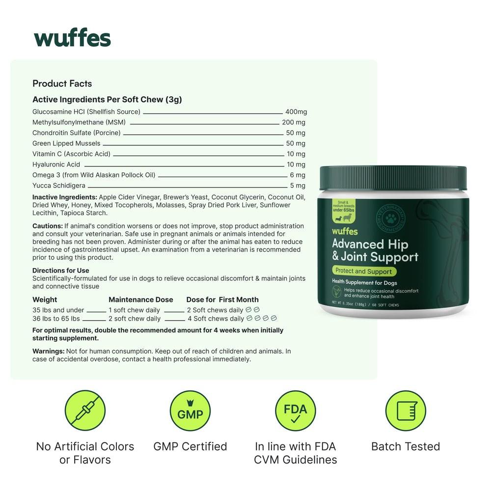 Wuffes-dog-skin-coat-health-photo: Image illustrating skin and coat wellness with key nutrients.