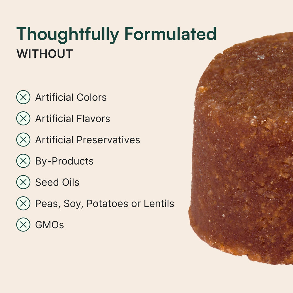 Wuffes dog with shiny coat during walk highlights skin and coat health.