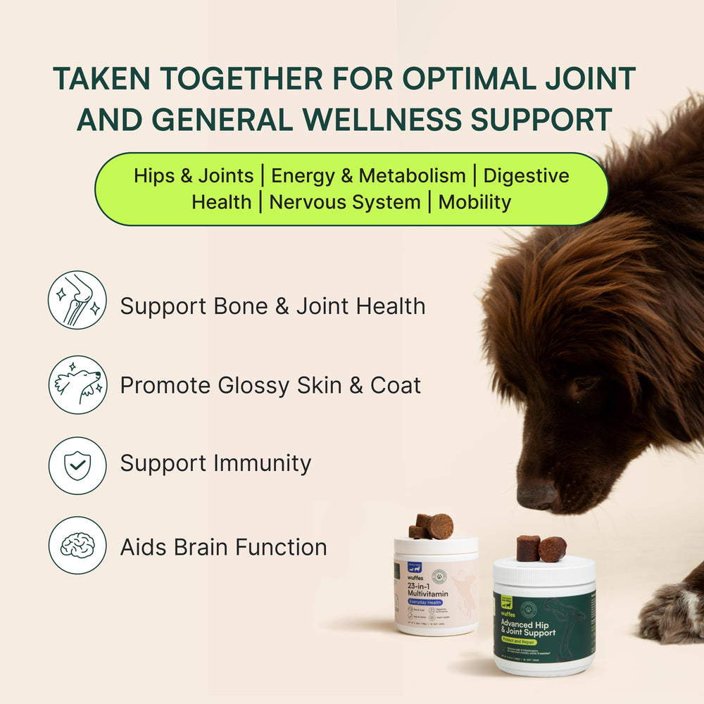 Wuffes hip joint support chews large dogs close-up emphasizes joint comfort potential.