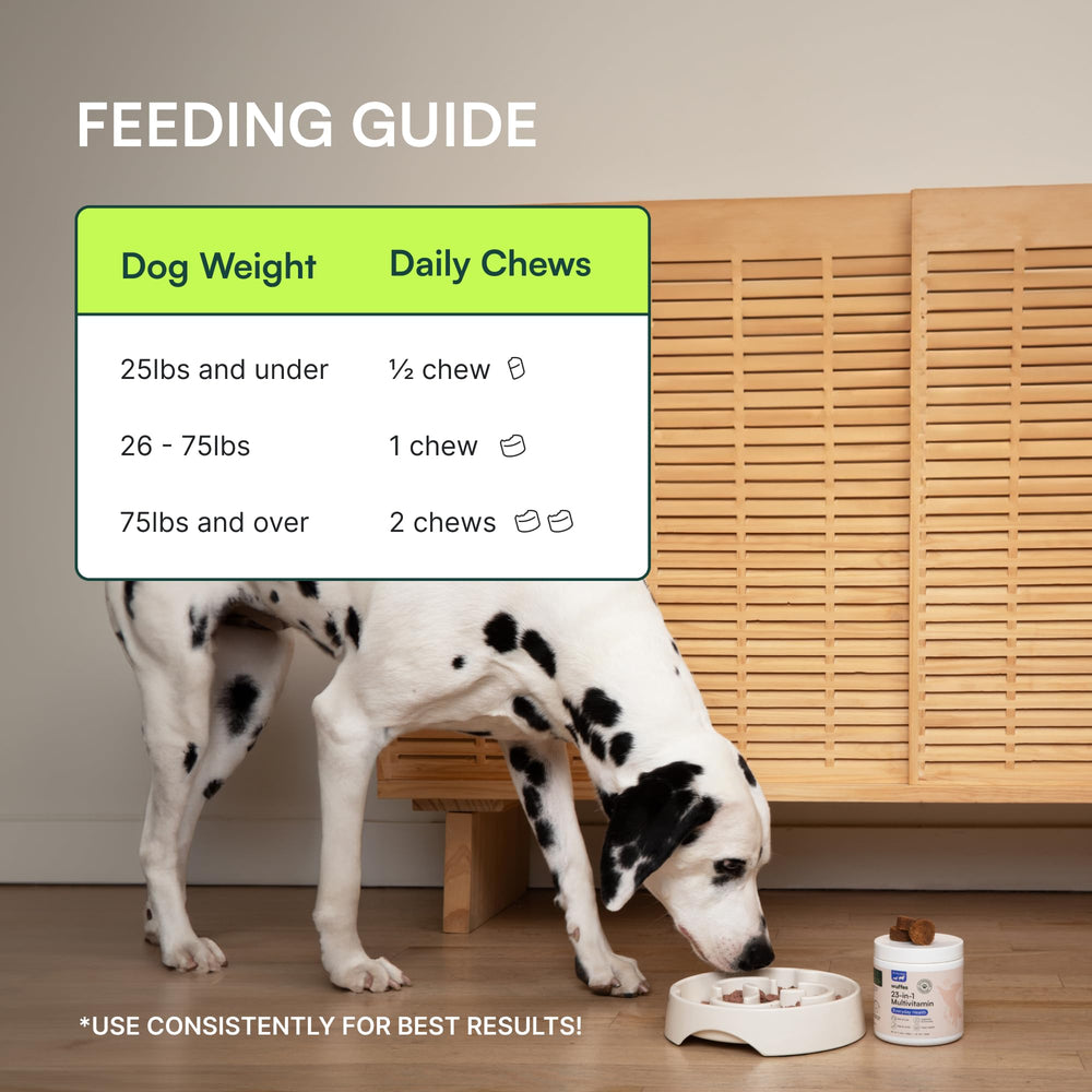 Wuffes joint-support dog close-up indicates mobility-friendly supplement.