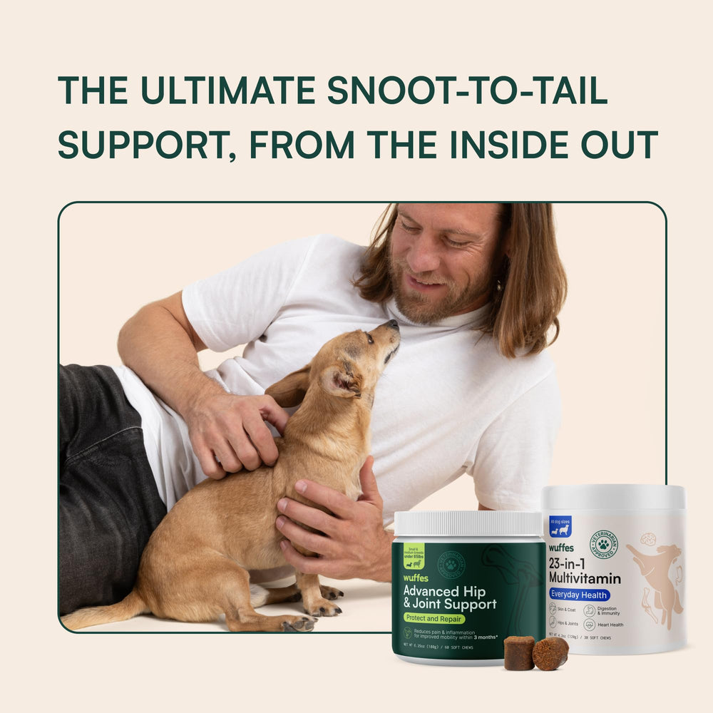 Wuffes-wild-alaskan-salmon-oil-omega-3: Omega-3 rich for healthy skin and heart support.