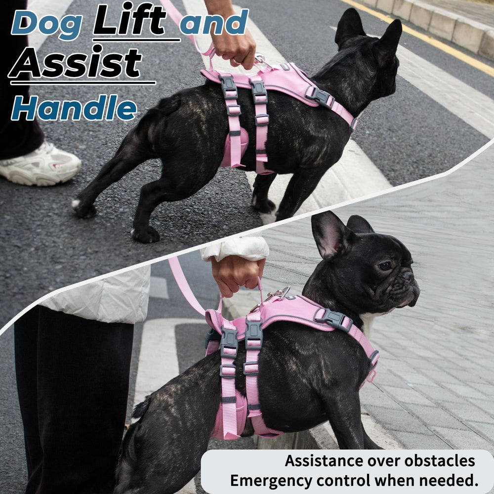 Wuffley 5ft leash pink XS connects with harness for comfortable, controlled daily strolls.