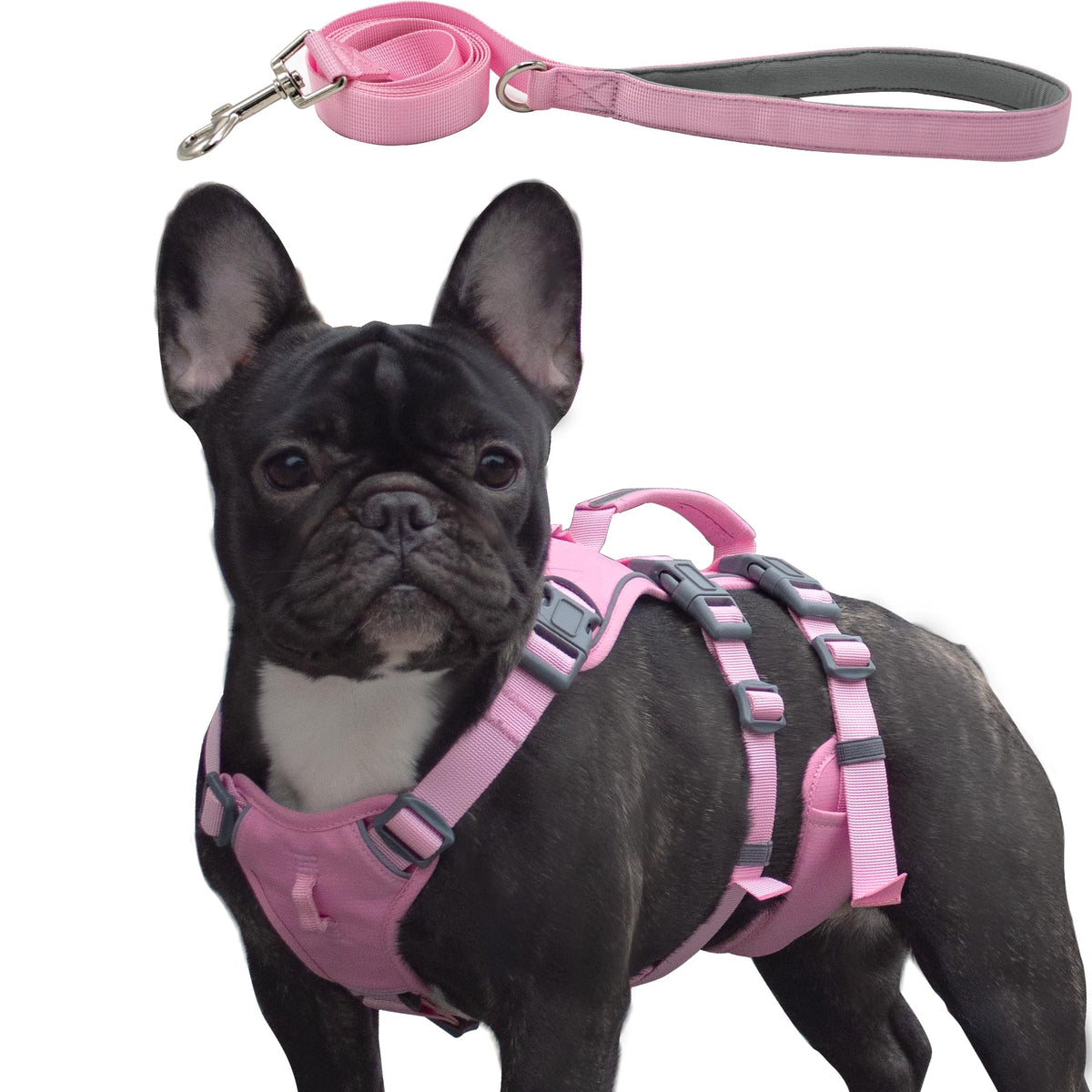 Wuffley escape-proof dog harness pink XS front view emphasizing secure straps for confident walks.