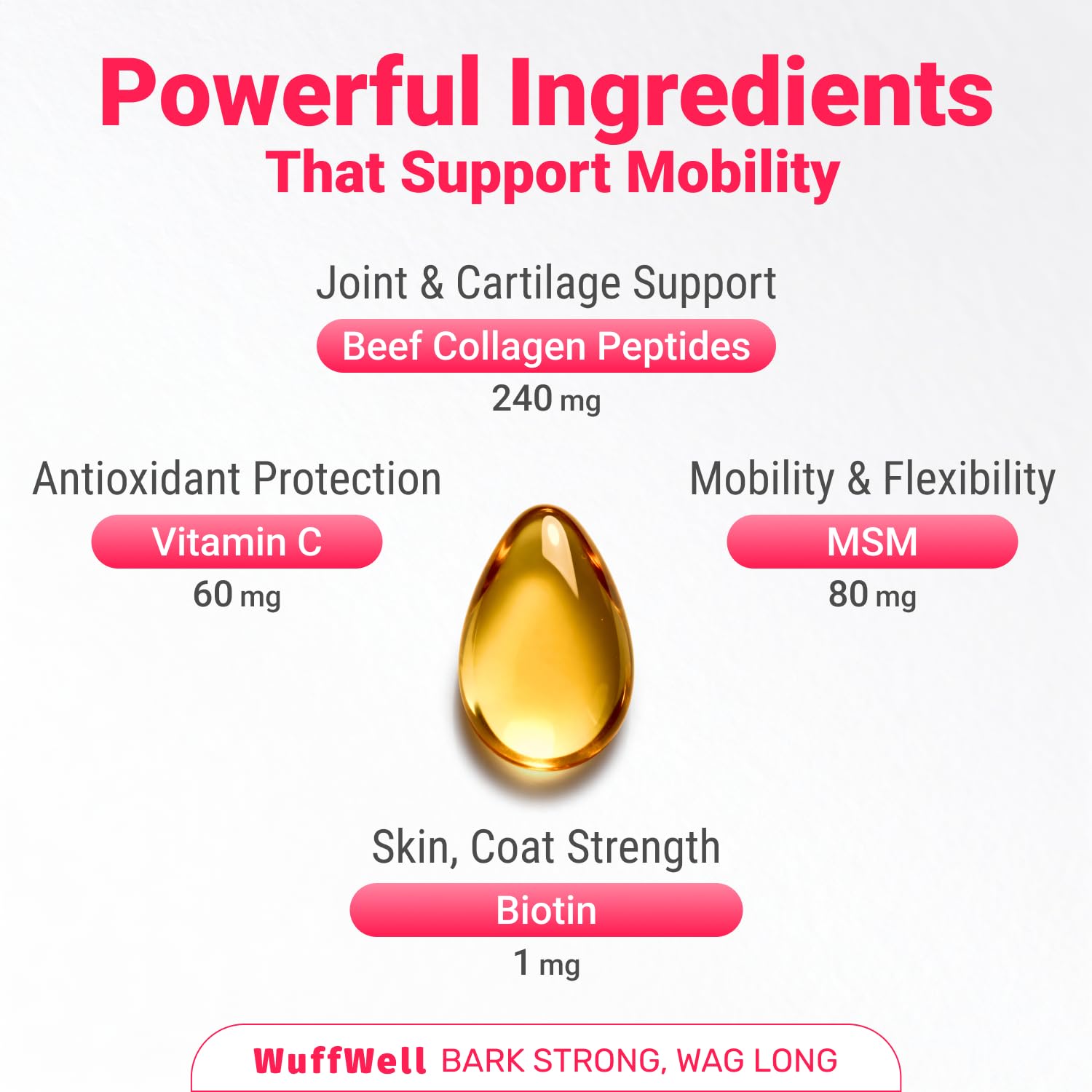 WuffWell dog collagen coat shine demonstrates healthier fur and improved shine