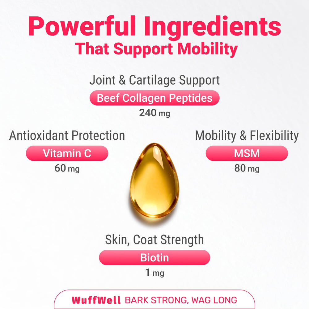 WuffWell dog collagen coat shine demonstrates healthier fur and improved shine