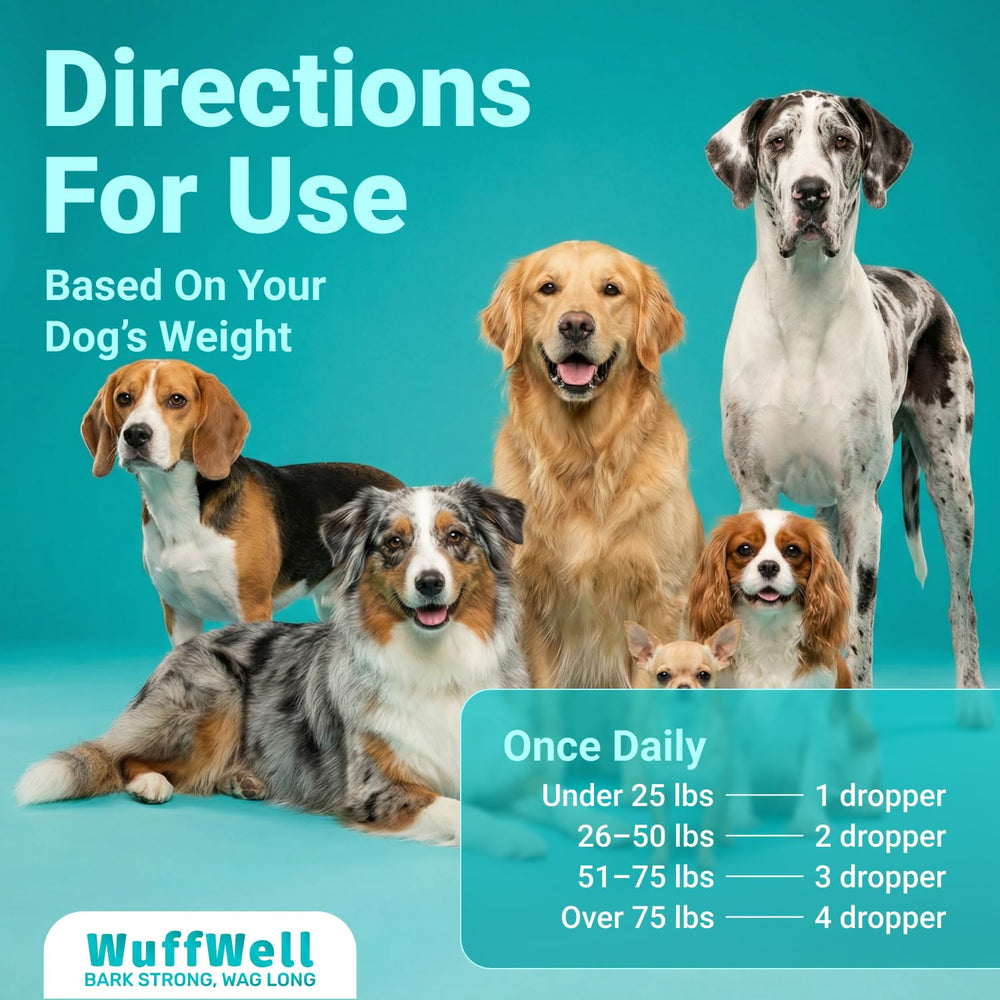 WuffWell dog joint-support-drops illustrate mobility-friendly daily use