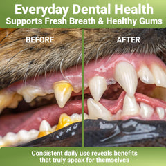 WuffWell breath-fresh image highlights a cleaner mouth and more confident walks.