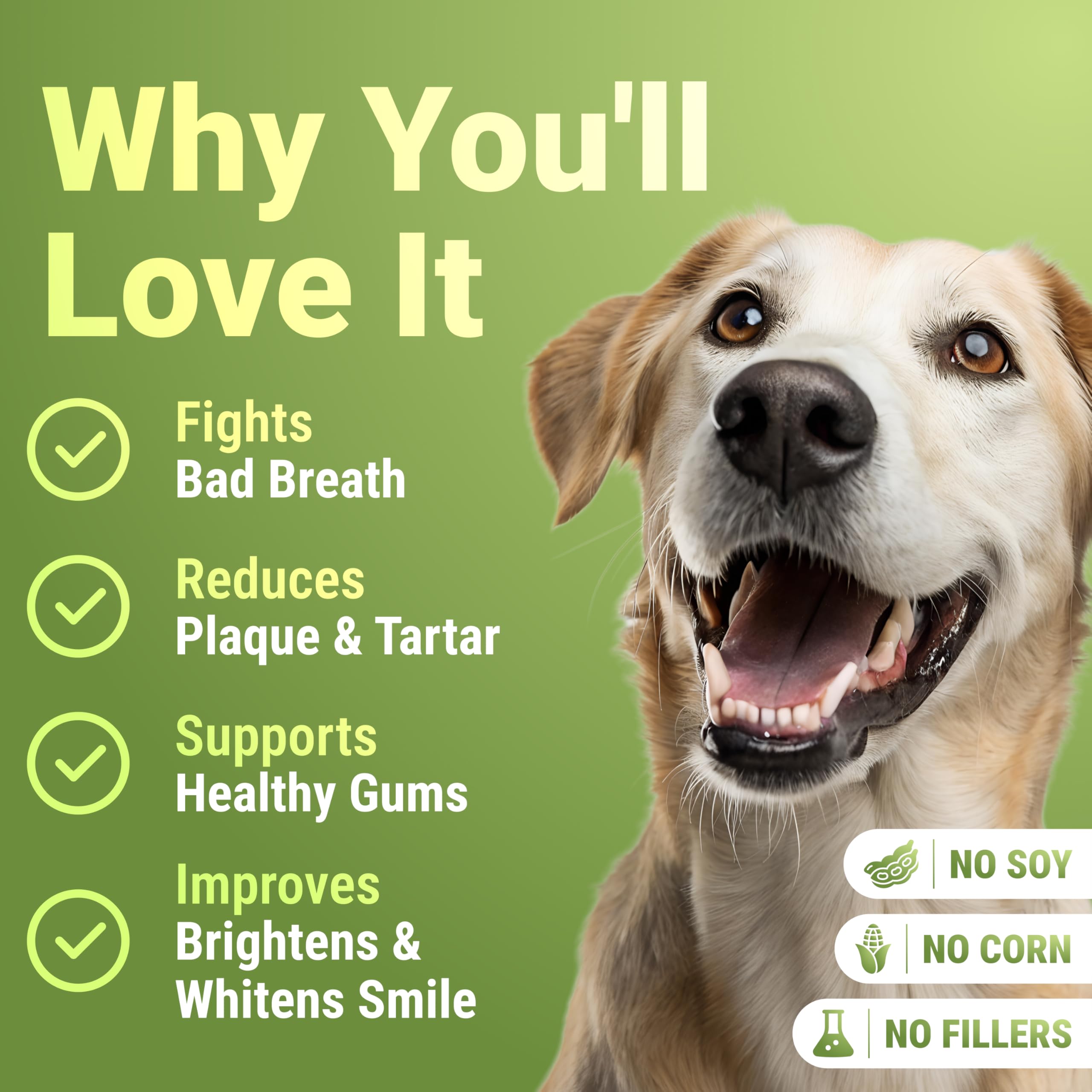 WuffWell dog food dust visual shows simple mix-in for consistent plaque control.