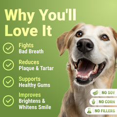 WuffWell dog food dust visual shows simple mix-in for consistent plaque control.
