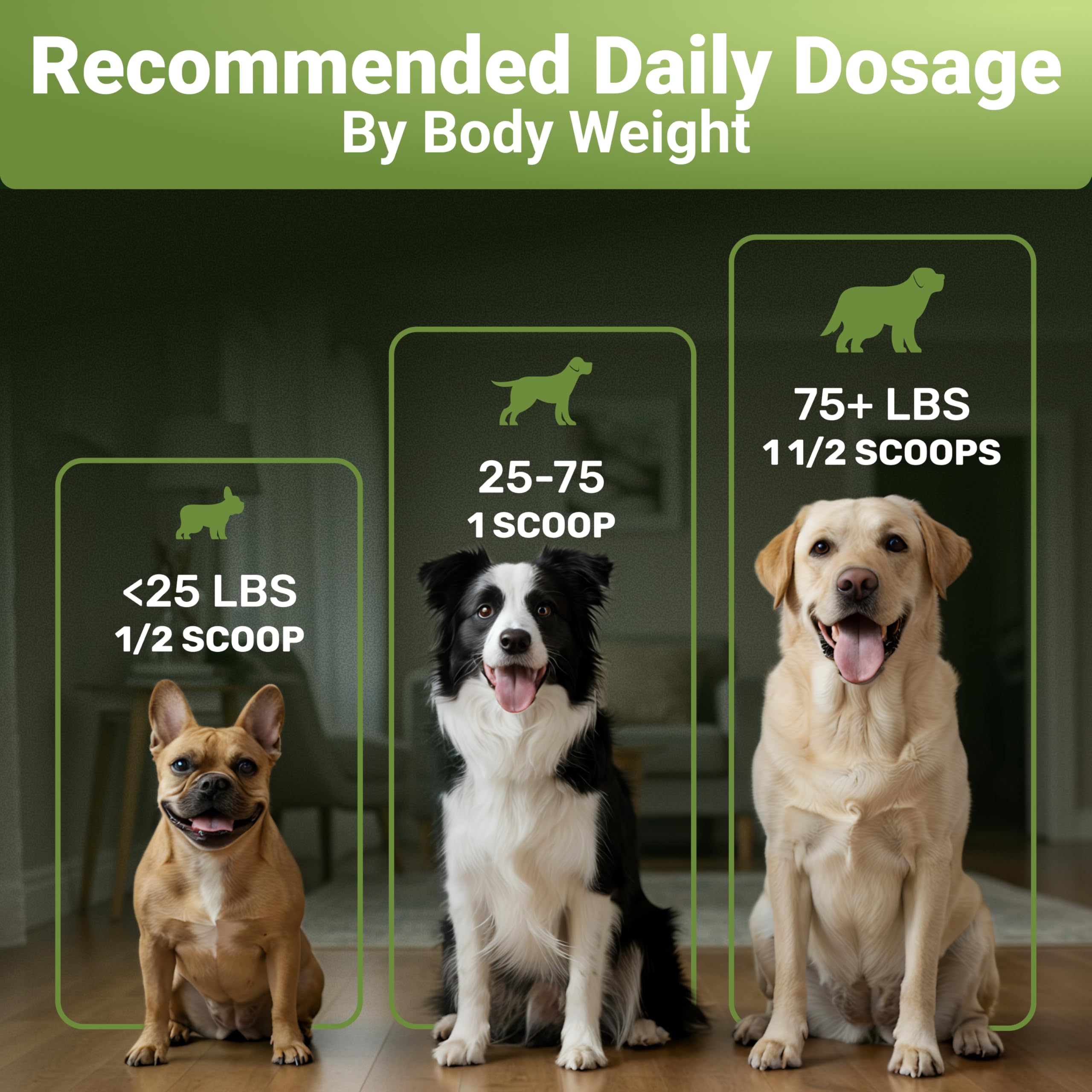 WuffWell natural ingredients image implies gentle, effective dog dental care.