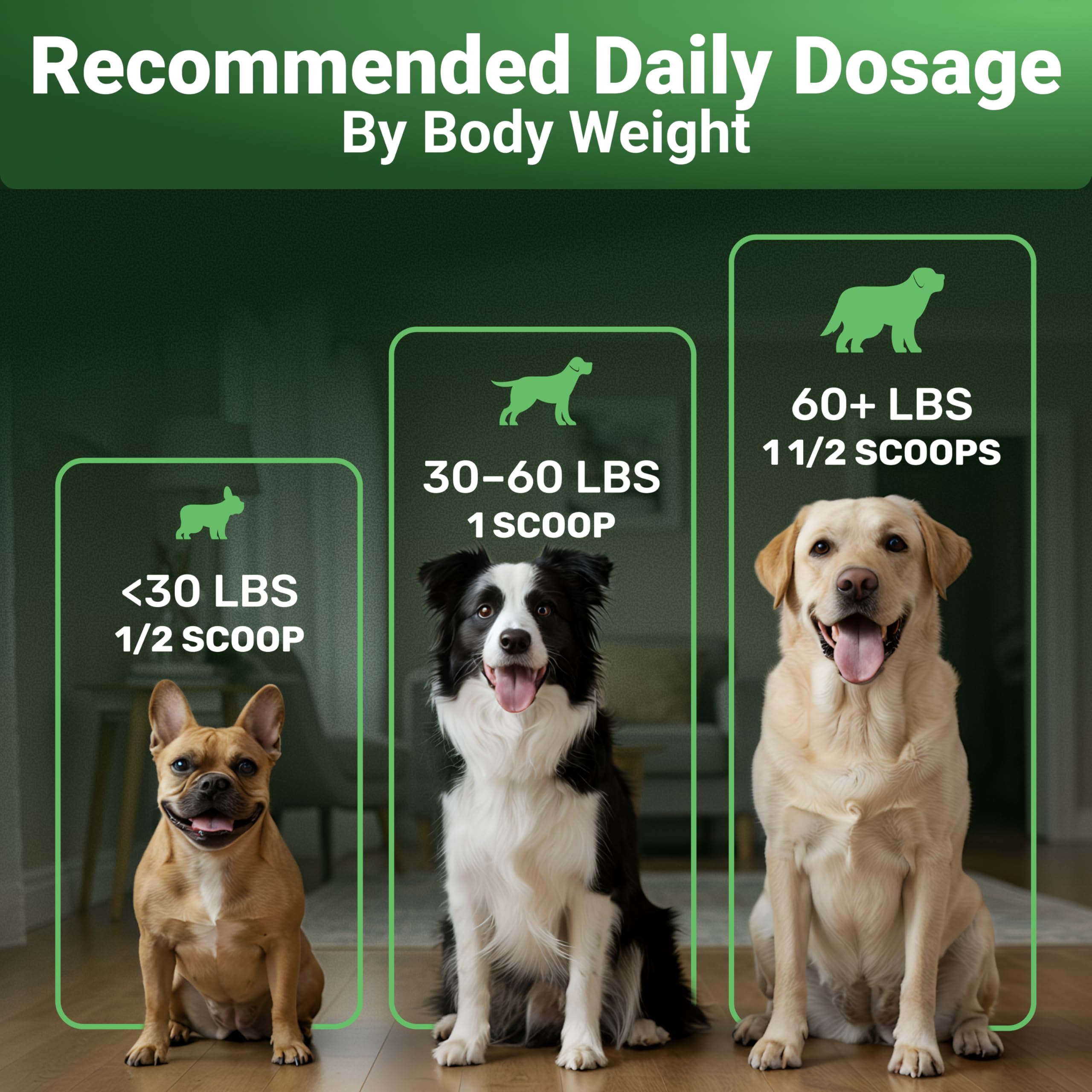 WuffWell Super Greens dog joint-mobility spotlights glucosamine, MSM, and hyaluronic acid.