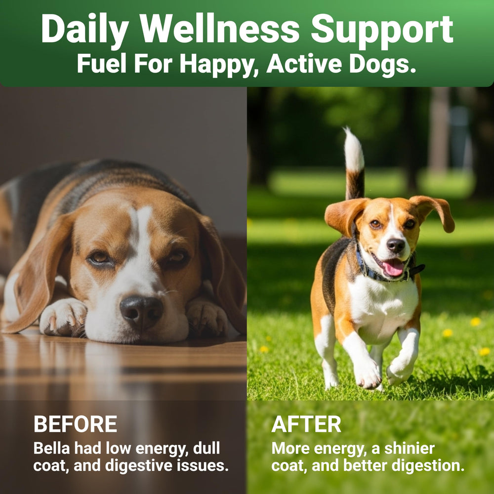 WuffWell Super Greens dog spoon dispense highlights mess-free feeding and consistent dosing.