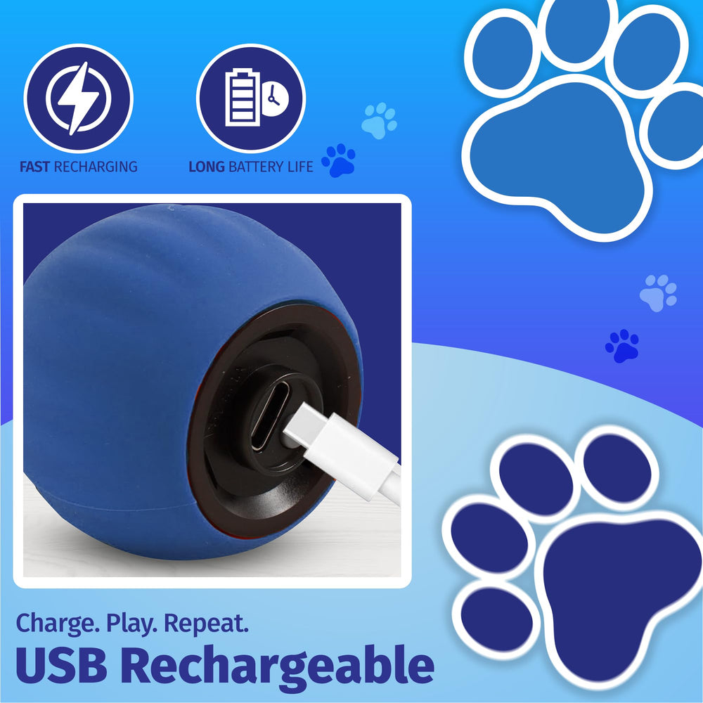 WUSSIO Speedy Tail 2.0 with feather pendant boosts chase instincts during play.