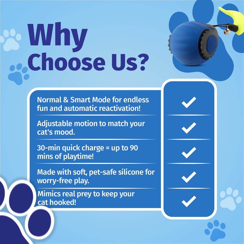 WUSSIO Speedy Tail 2.0 packaging suggests a thoughtful gift for cats.