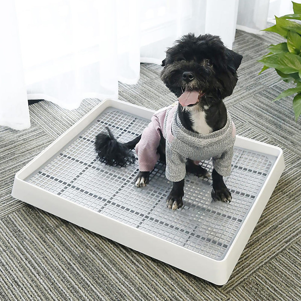 WUWEOT durable plastic bunny toilet for long-term use and tidy living spaces.