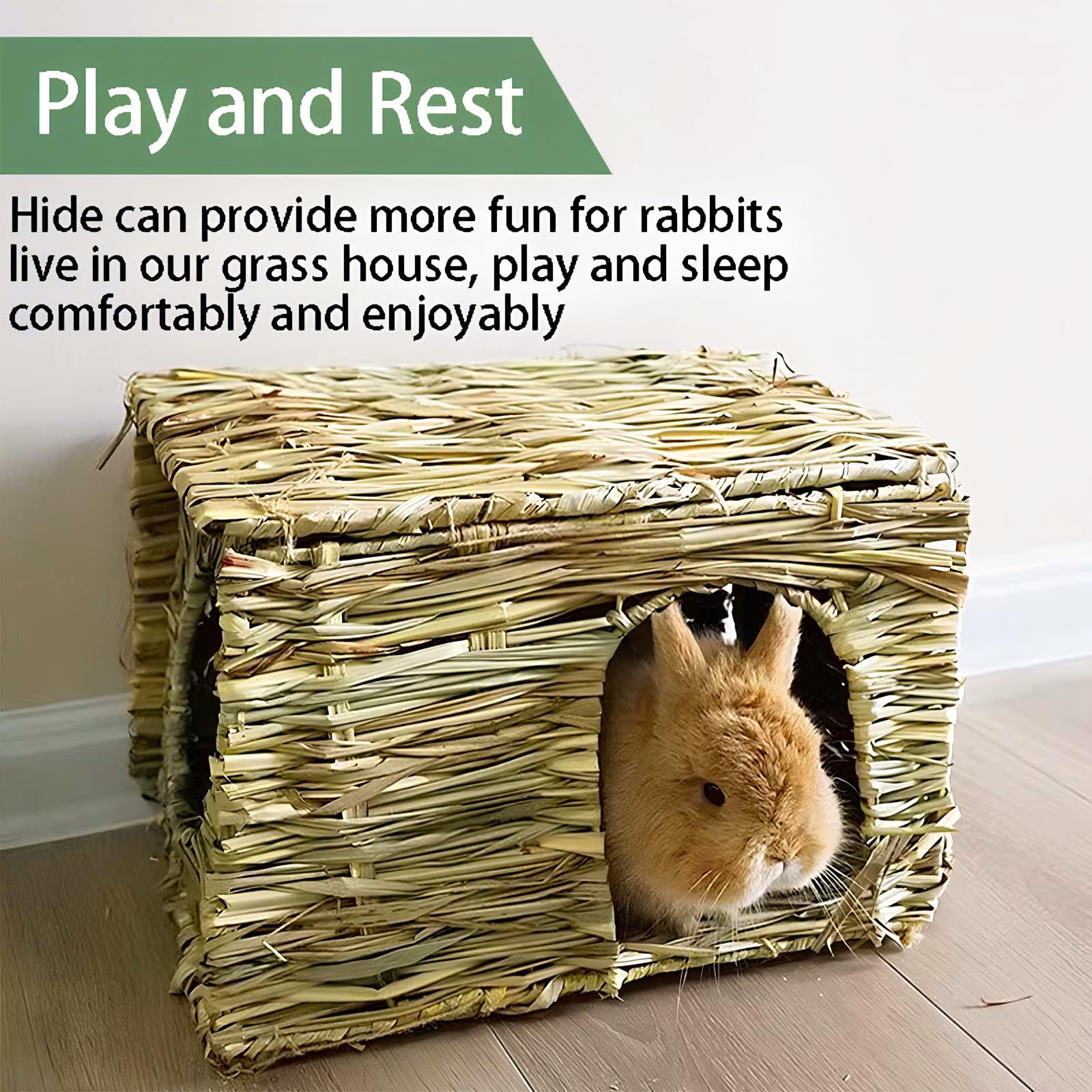Two-pack layout shown for shared play and resting space in a small animal setup
