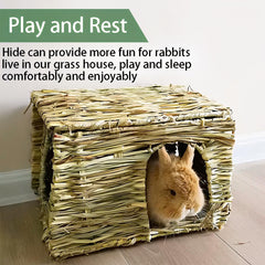 Two-pack layout shown for shared play and resting space in a small animal setup