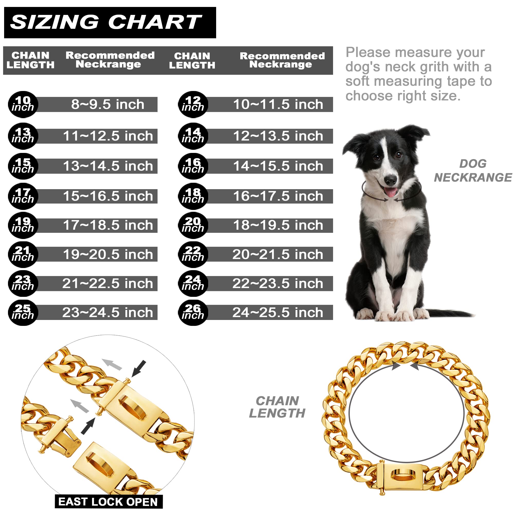 W/W Lifetime D-ring attachment on chew-proof collar for dependable leash and tag connection.