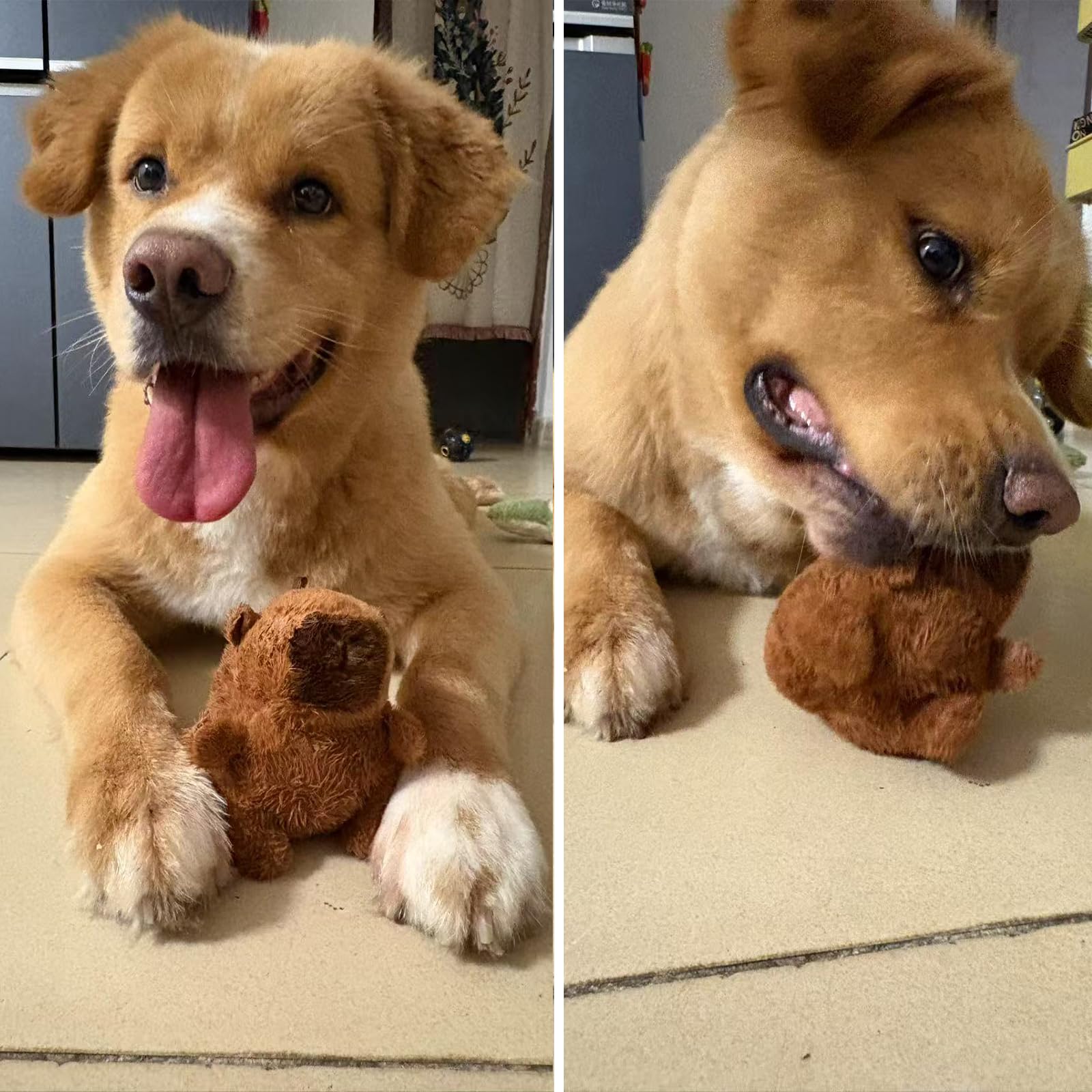 Wxcrsaz capybara toy for daily fetch and cuddle routines.