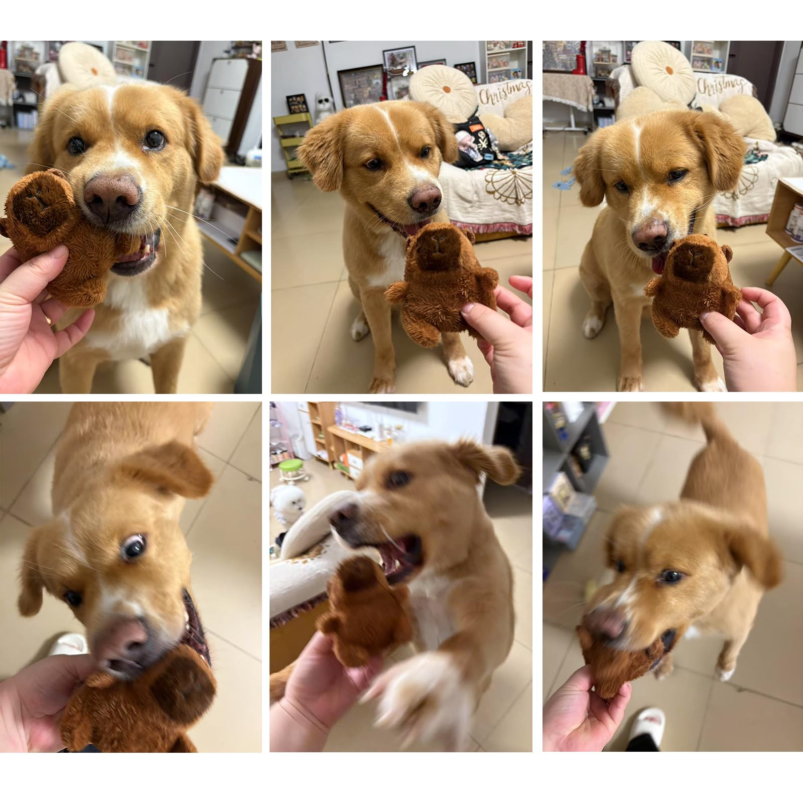 Wxcrsaz capybara plush puppy-holding moment for small and medium dogs.