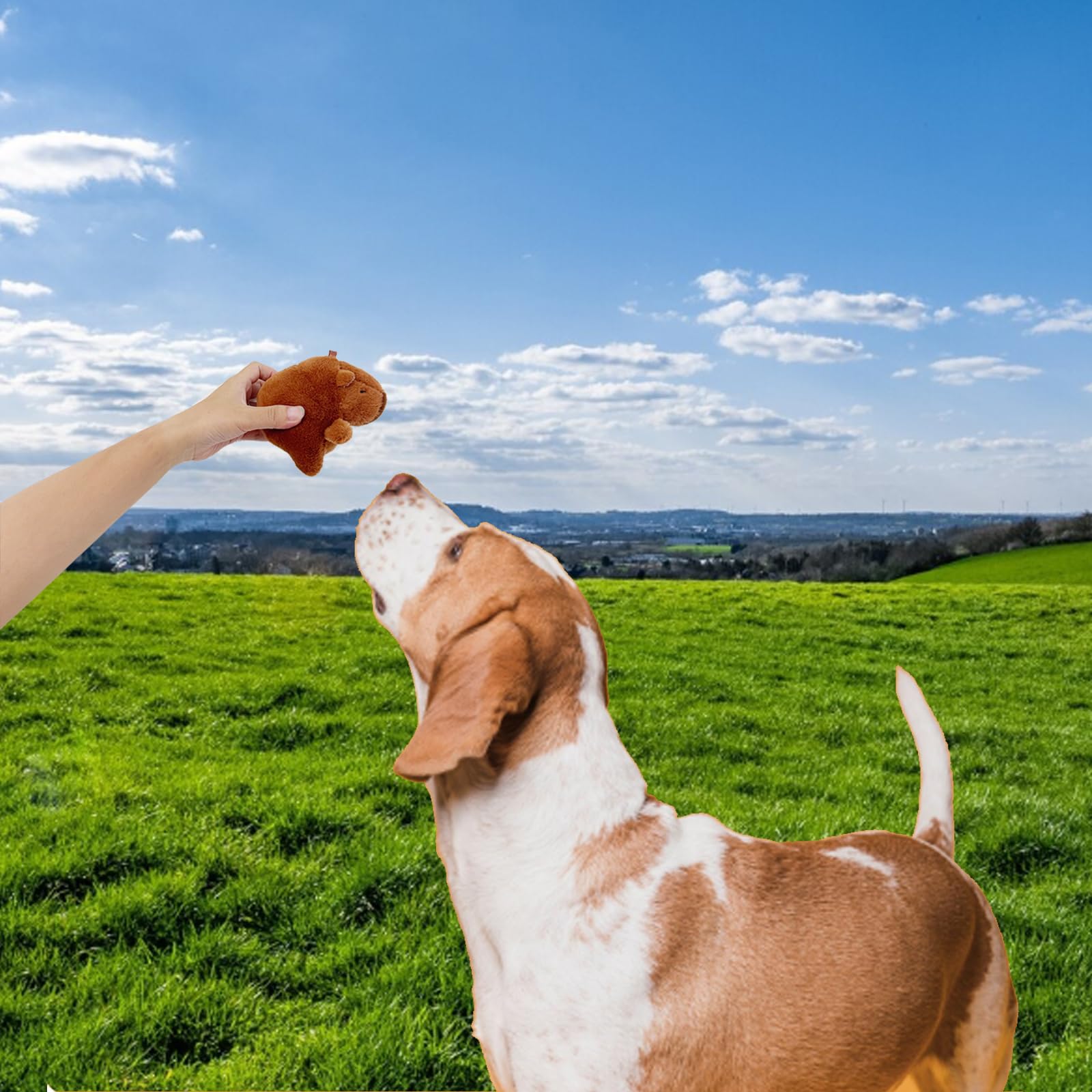 Wxcrsaz capybara durable plush texture for regular play.