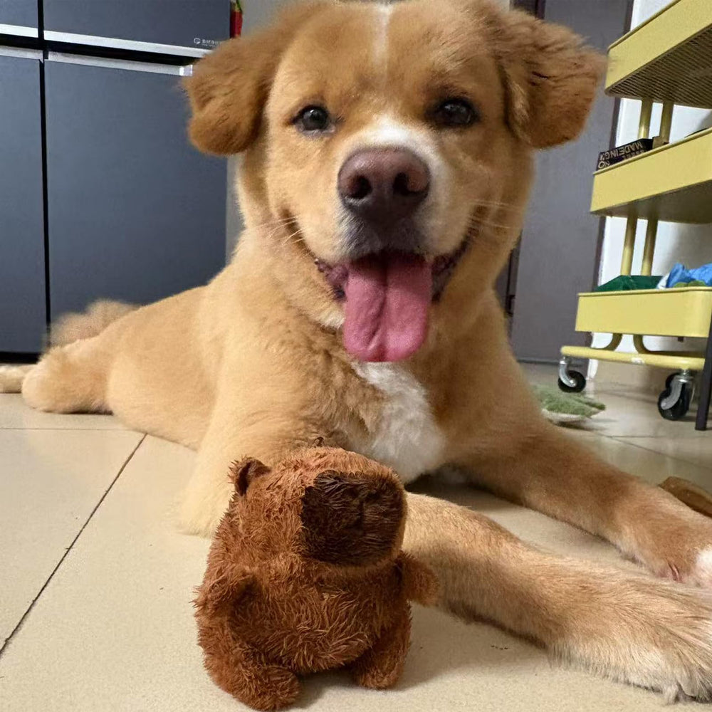 Wxcrsaz capybara plush packaging—gift-ready for birthdays.