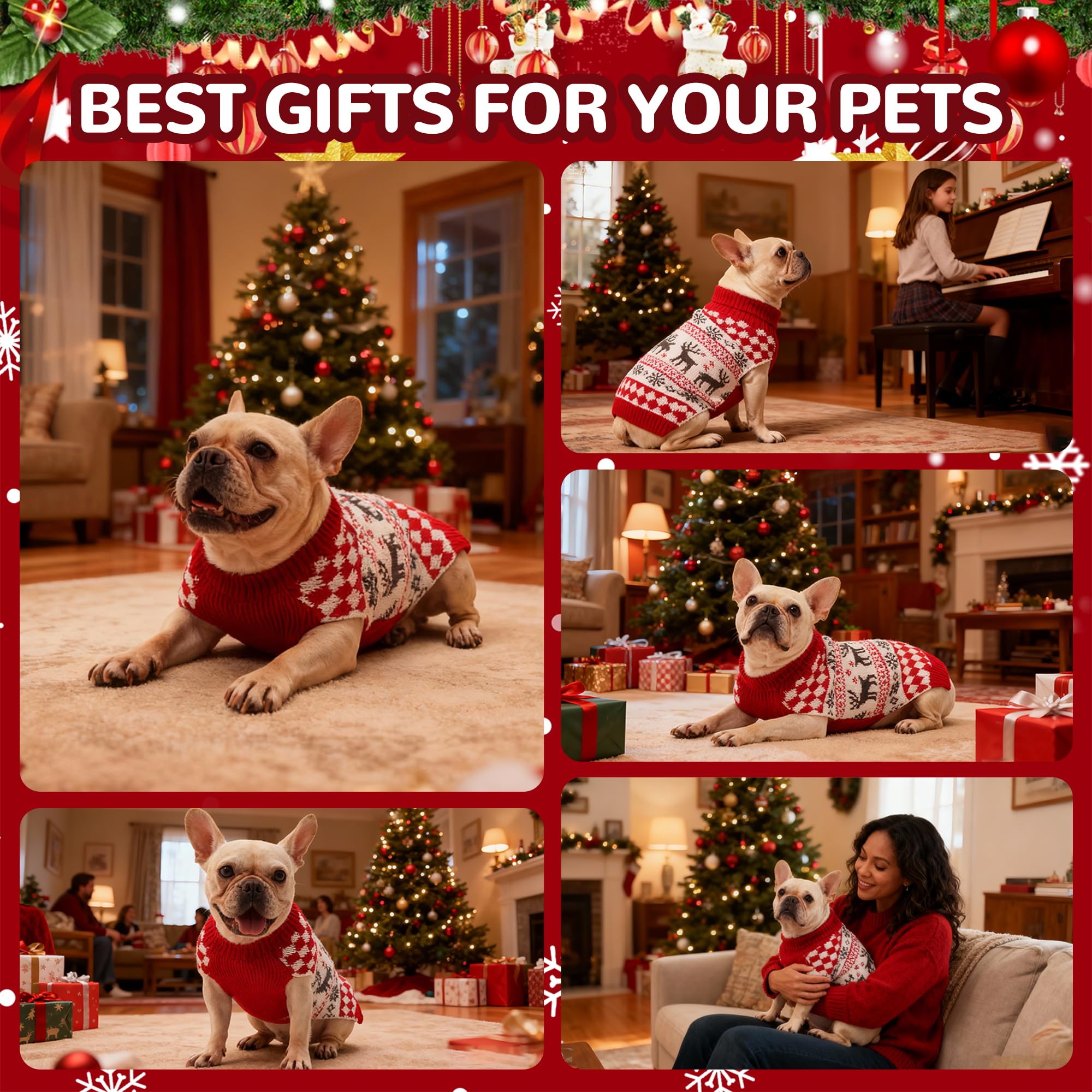 Wynignis festive pet sweater for holiday photos and family gatherings