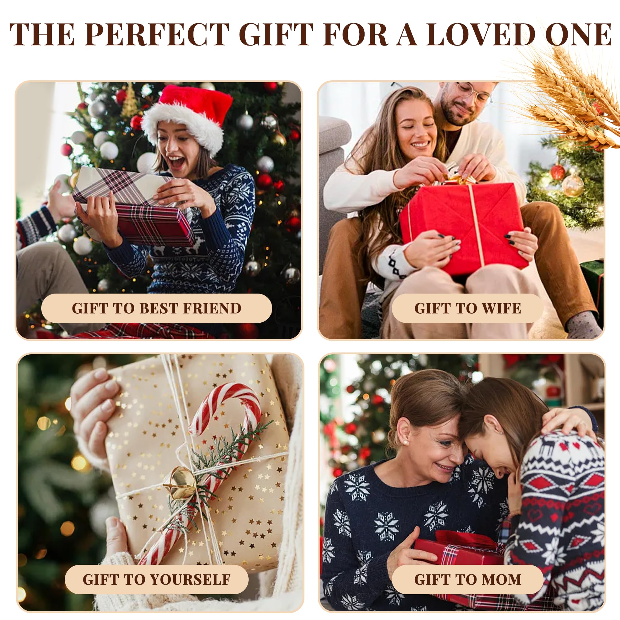 Wynsylis 4-in-1 flexible setup adapts to cat habits