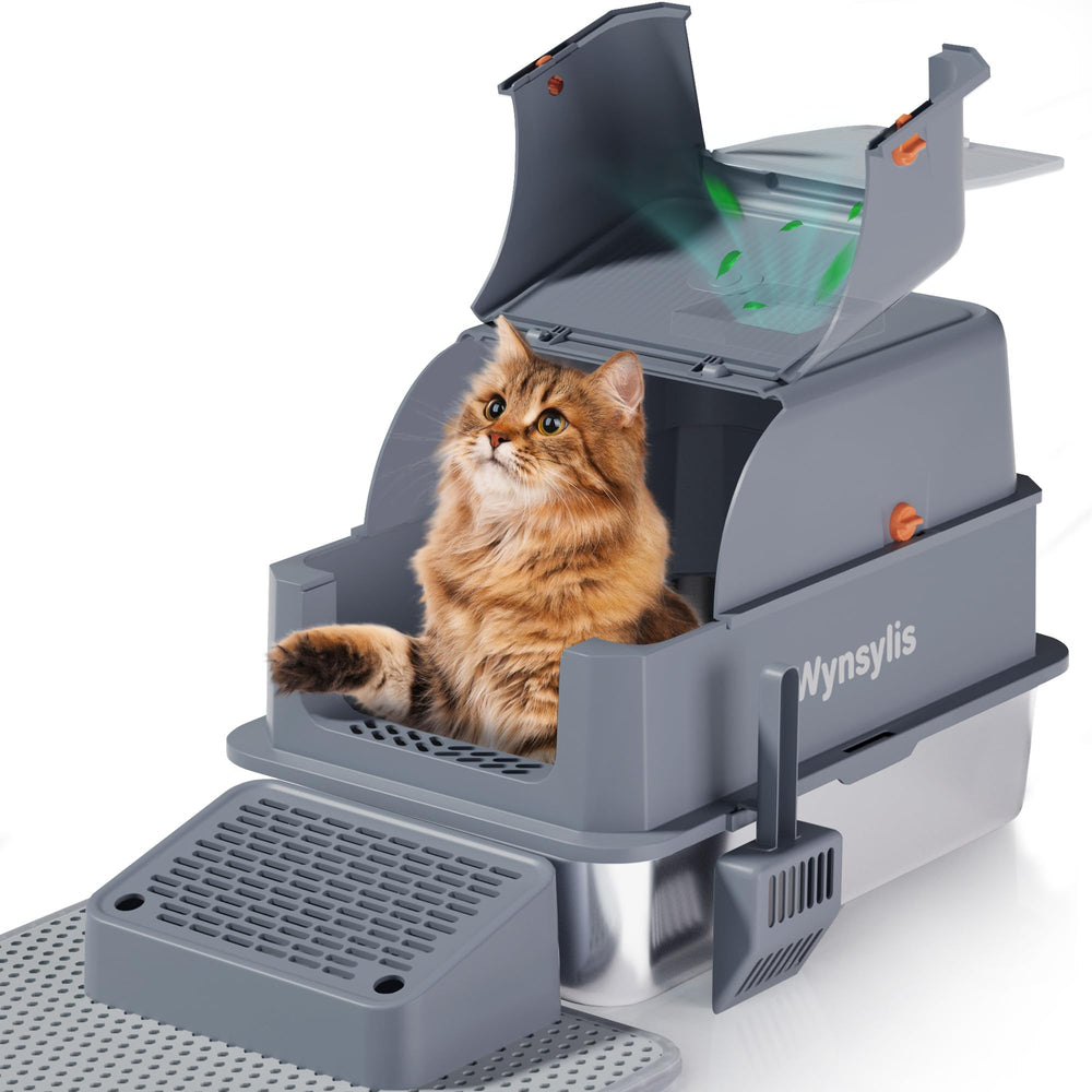 Wynsylis XL litter box with flip-top lid for easy scooping and clean setup