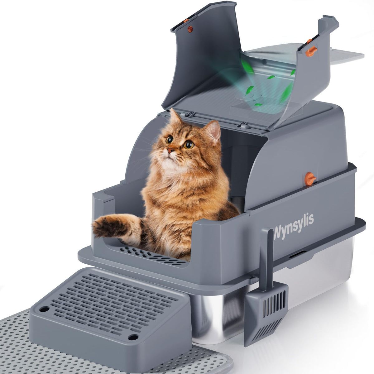 Wynsylis XL litter box with flip-top lid for easy scooping and clean setup