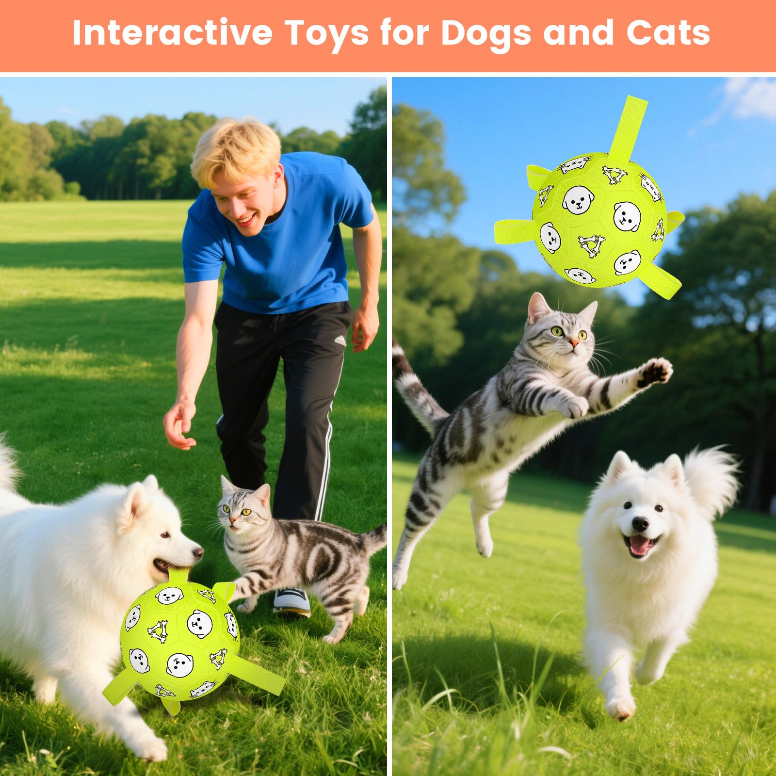 WYNTRIUM birthday gift ball for medium and large dogs