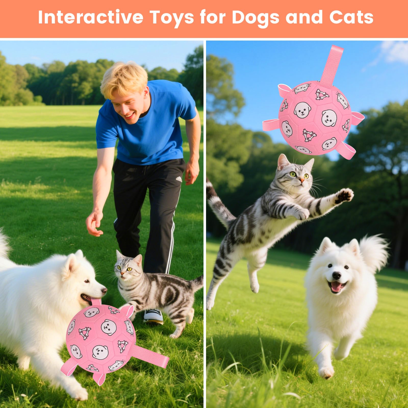 WYNTRIUM colorful prints entice dogs and kids during games.