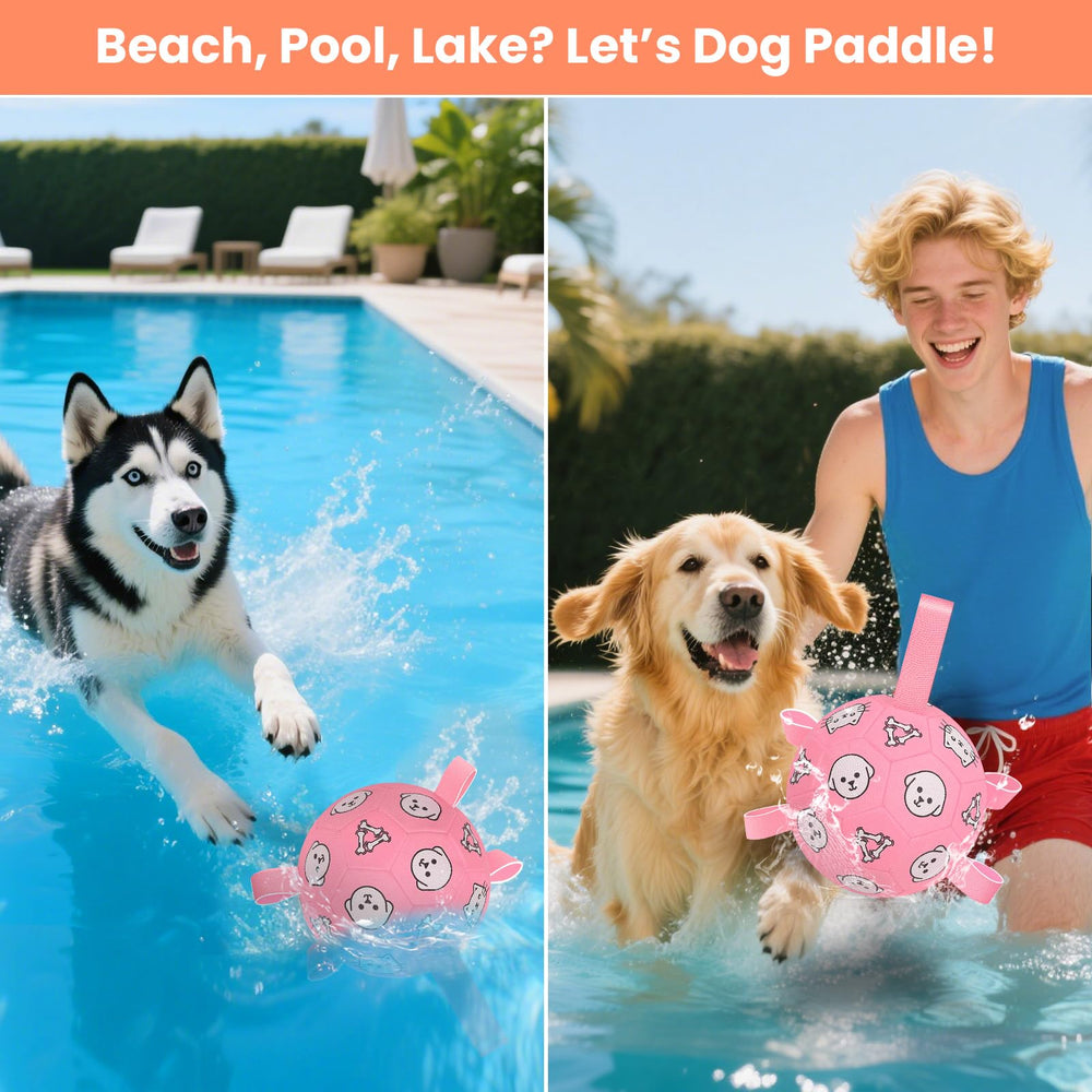 WYNTRIUM gift-ready packaging makes a great dog birthday or holiday gift.