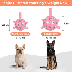 WYNTRIUM dog soccer ball grab tabs close-up shows durable stitching for rough play.