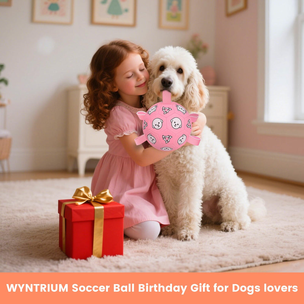 WYNTRIUM dog ball ideal for indoor and outdoor family play.