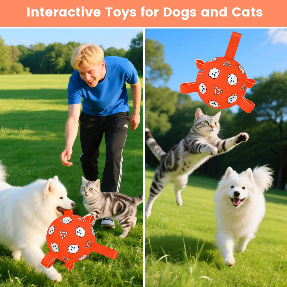 WYNTRIUM dog soccer ball packaging and ready-to-play presentation.