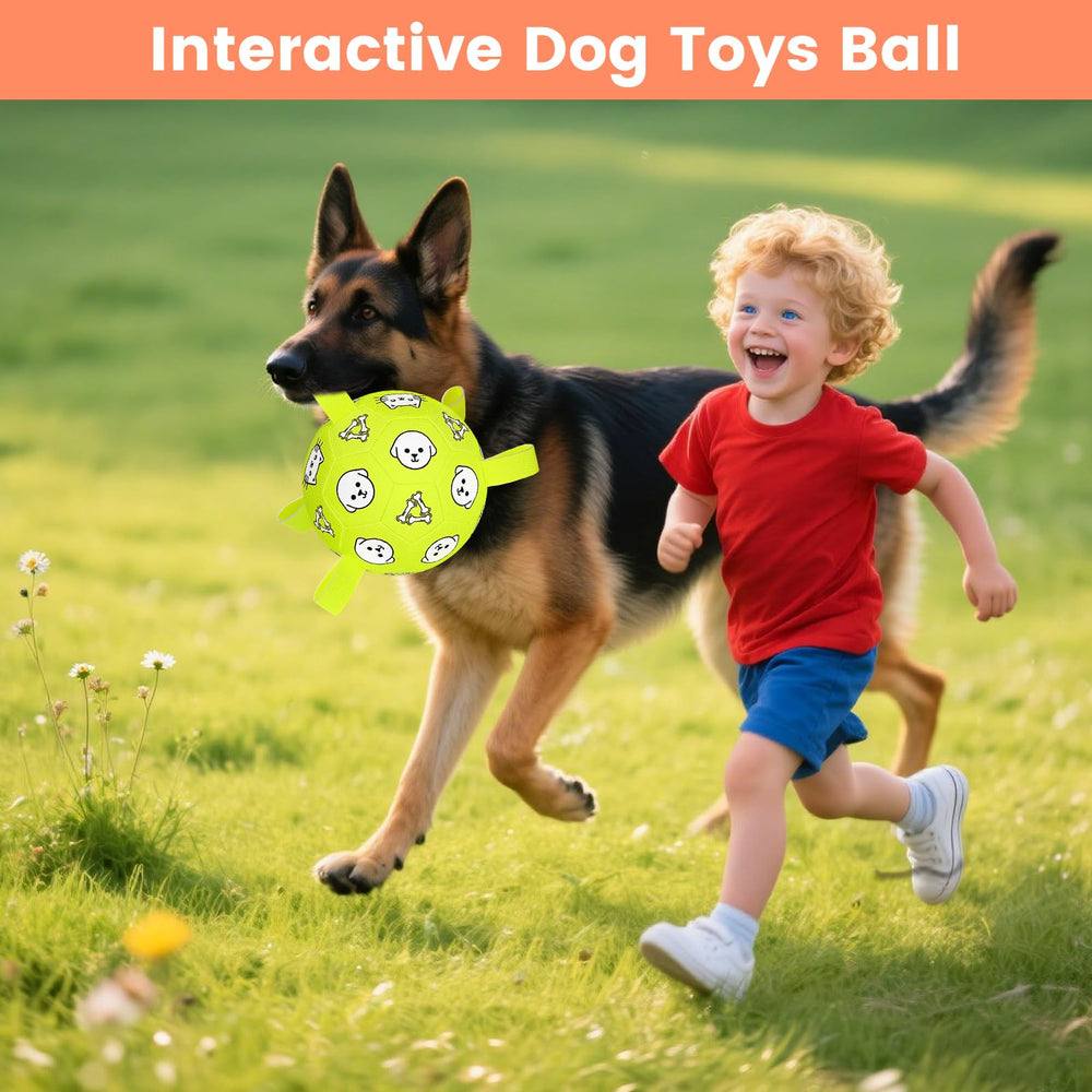 WYNTRIUM warranty and responsive support for toy questions